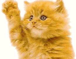 Waving Kitten